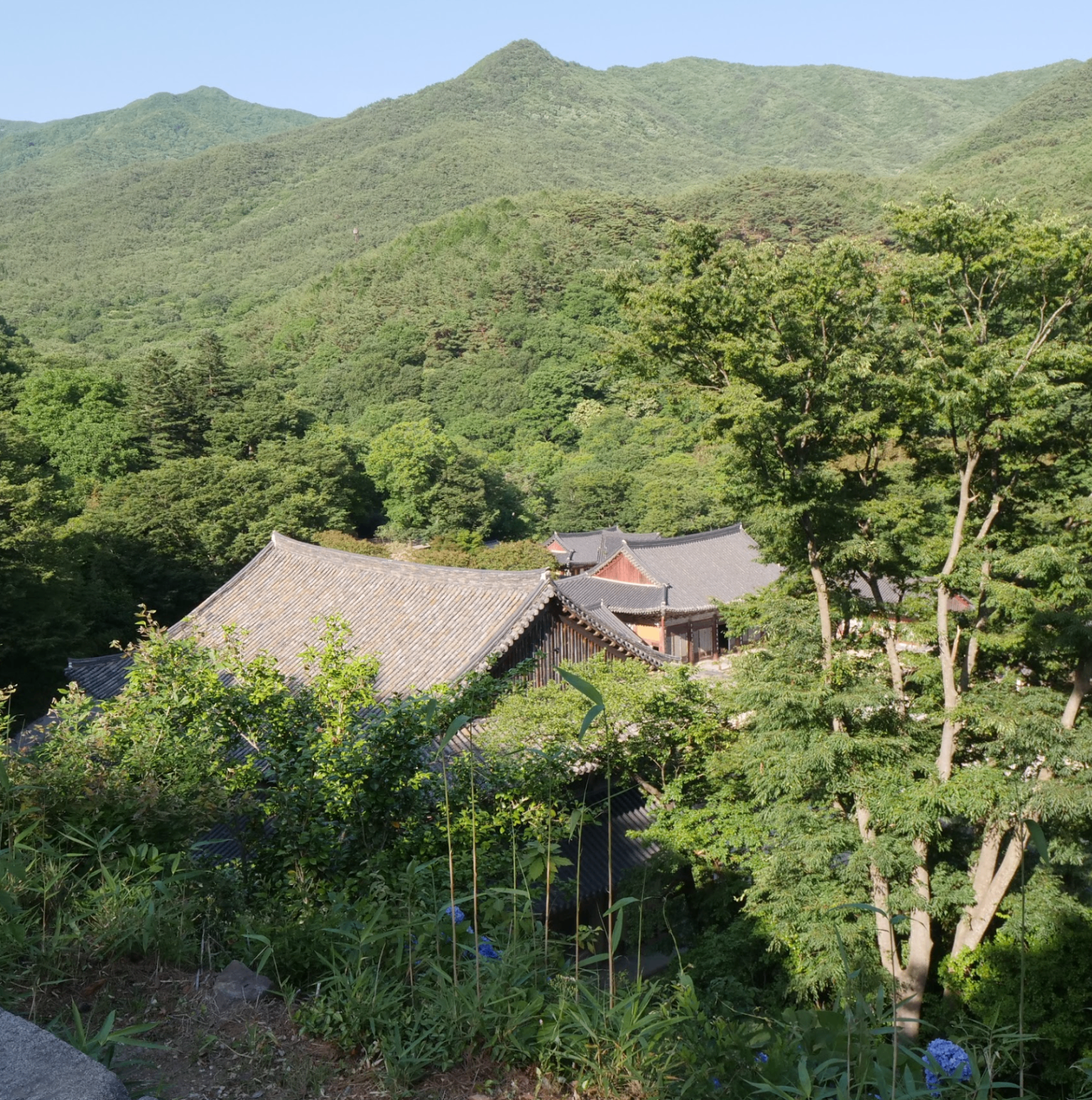 Traditional Korean temple nestled in lush mountain landscape