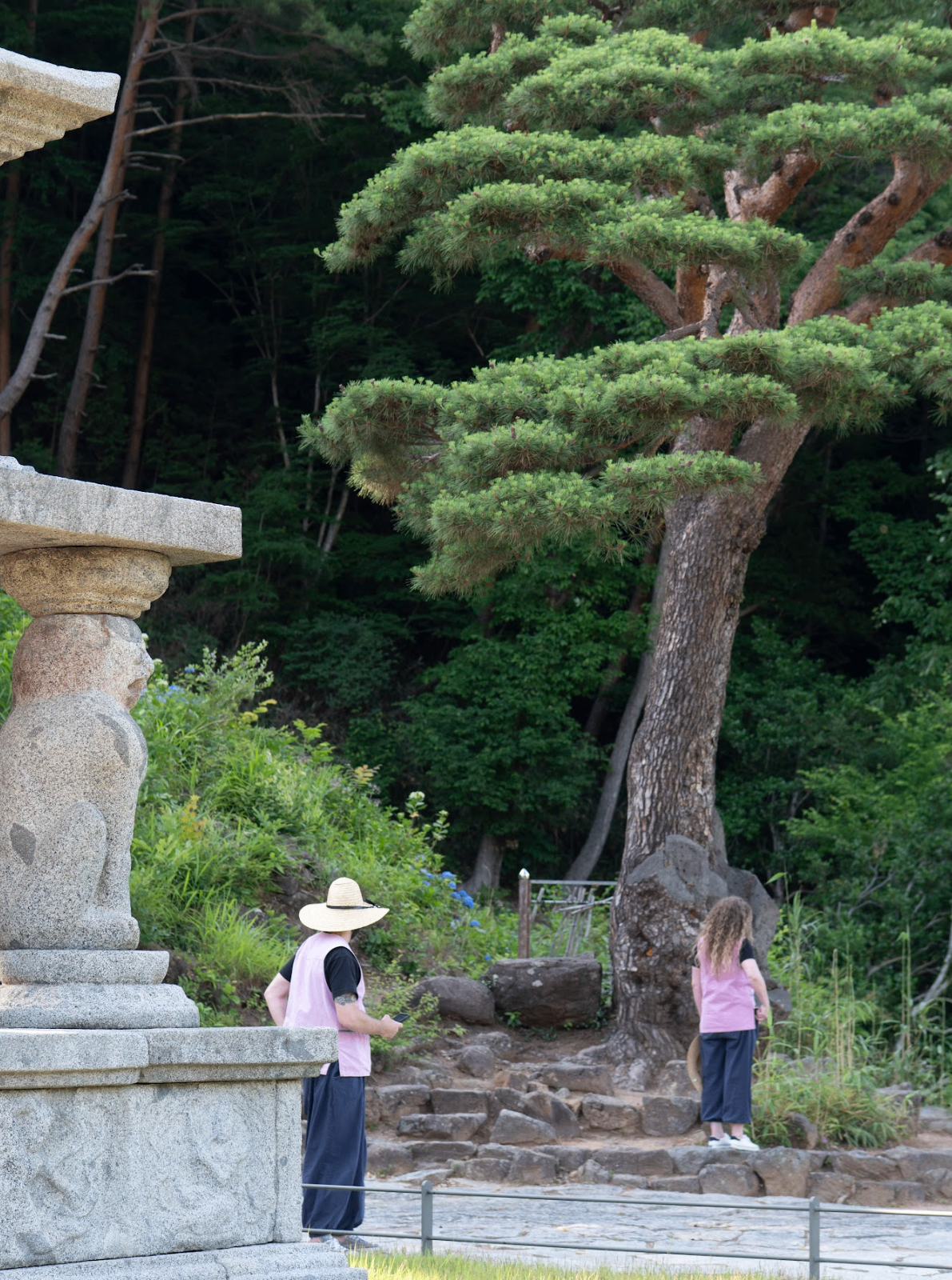 Visitors exploring traditional Korean temple grounds with pine trees and stone pagoda