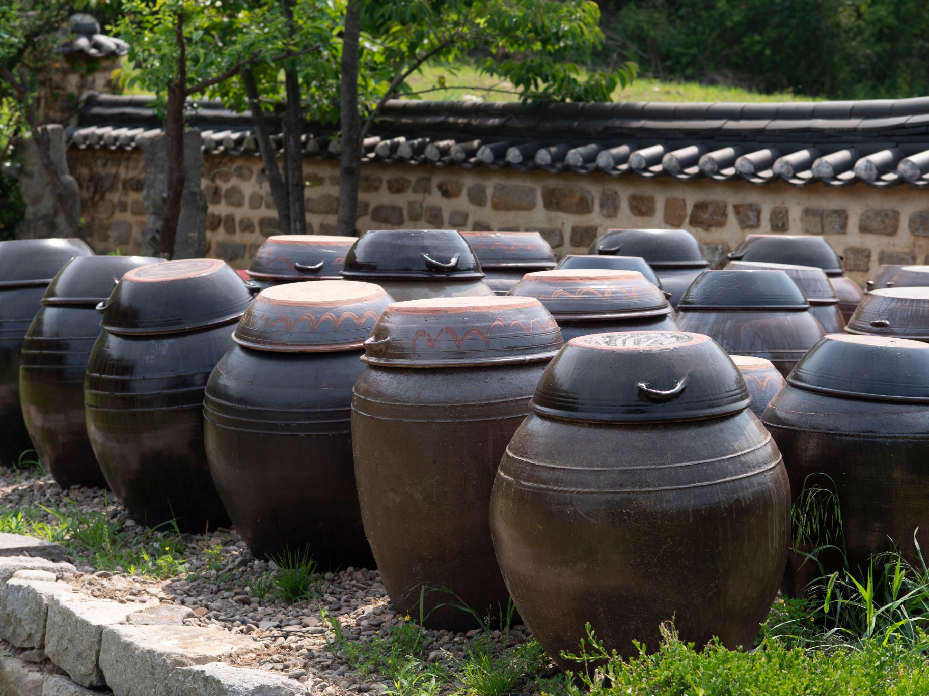 Traditional onggi ceramic jars for fermenting soju in Andong