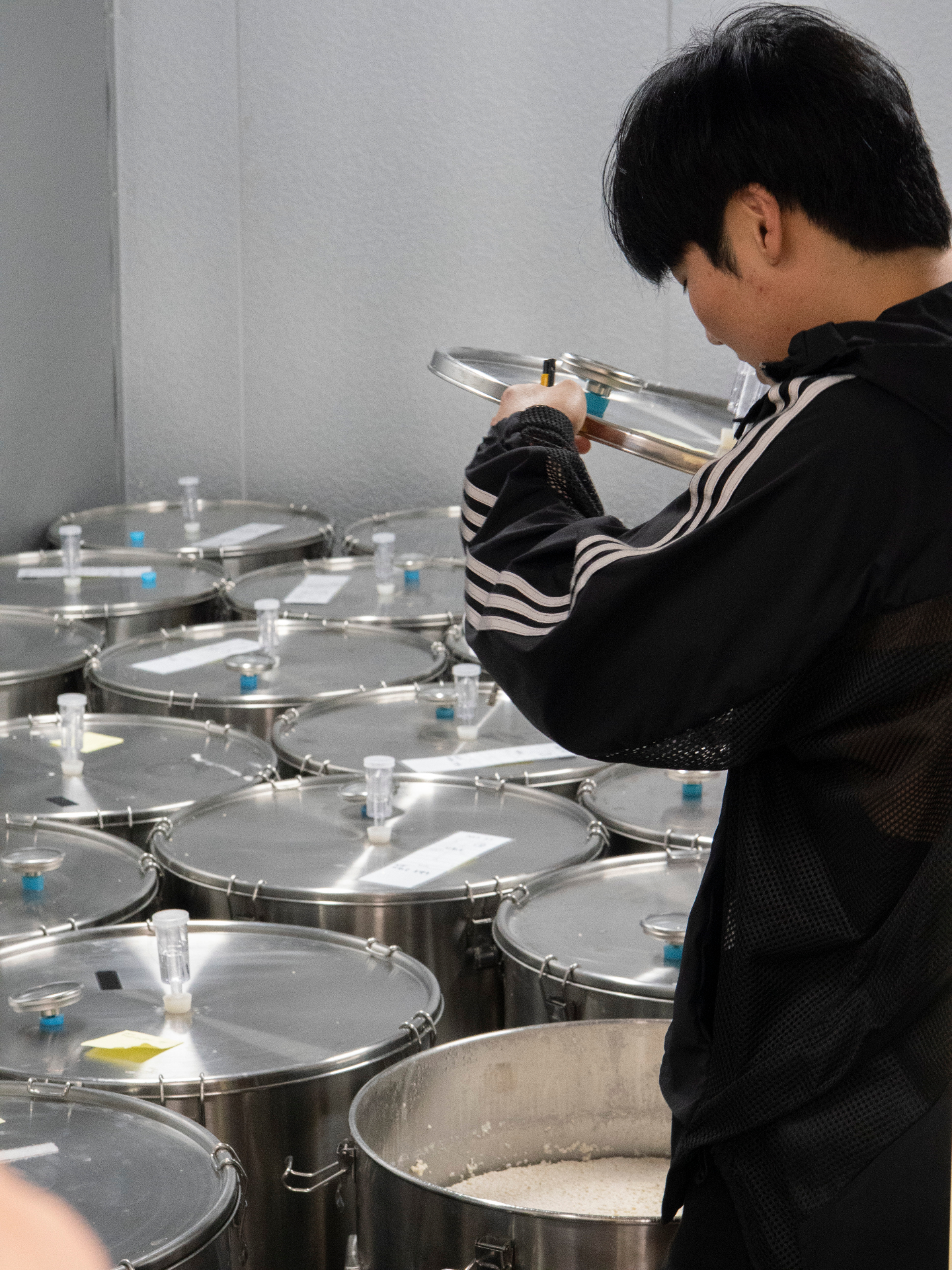 Modern fermentation facility with stainless steel tanks for traditional sool production