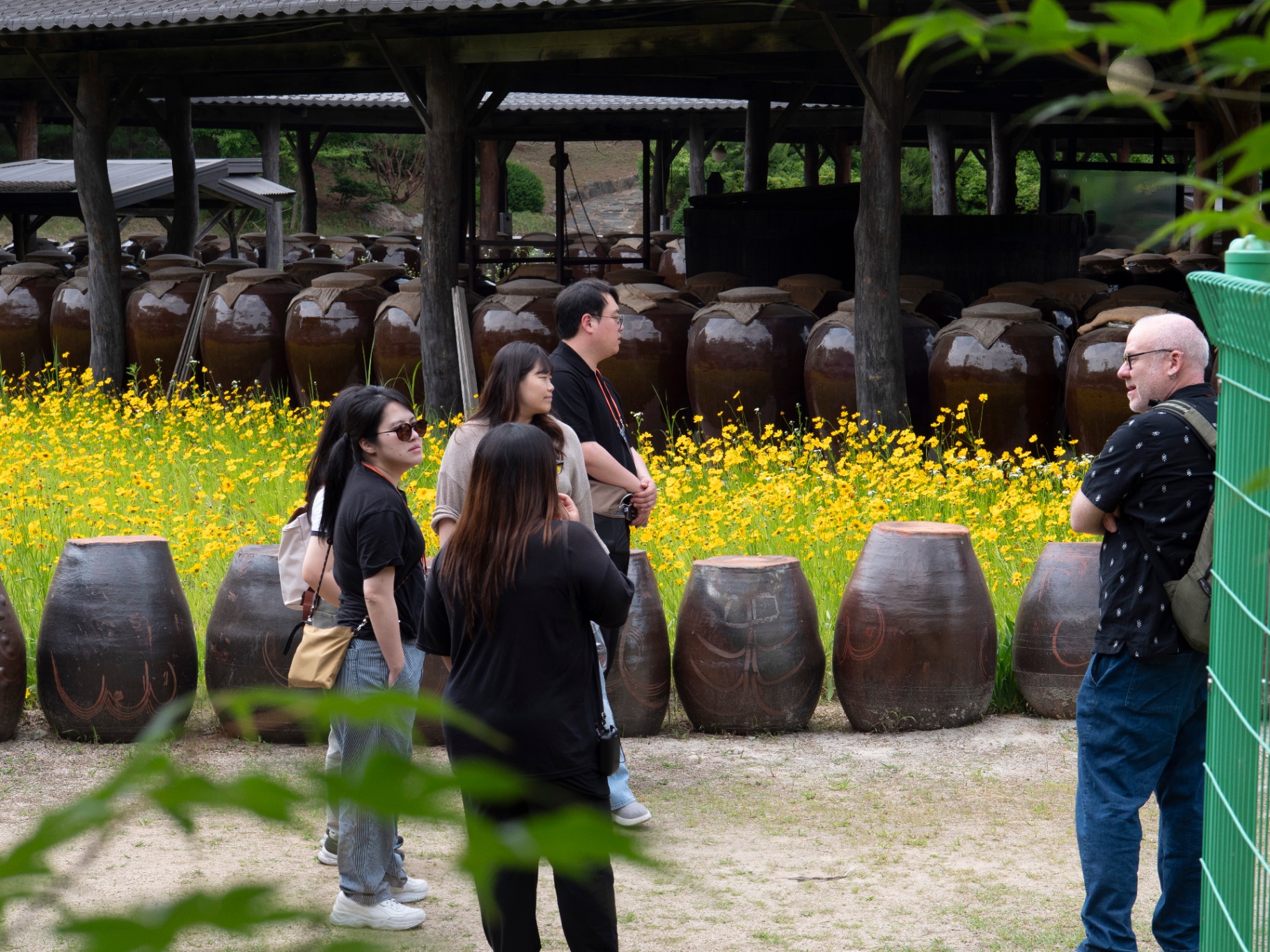 Visitors exploring traditional pottery collection with wildflowers in Gyeonggi