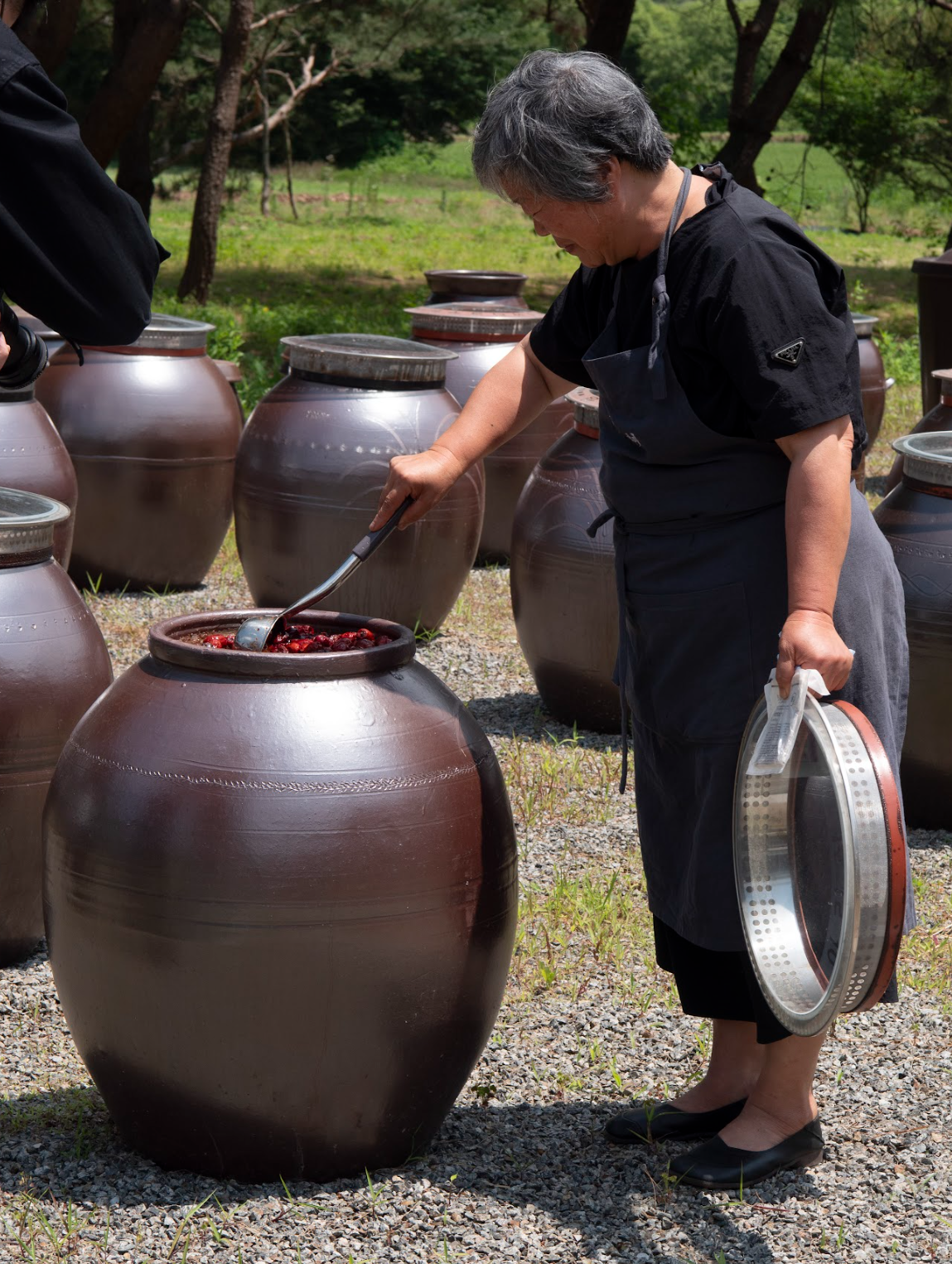Fermentation artisan tending onggi jars outdoors — Gyeonggi