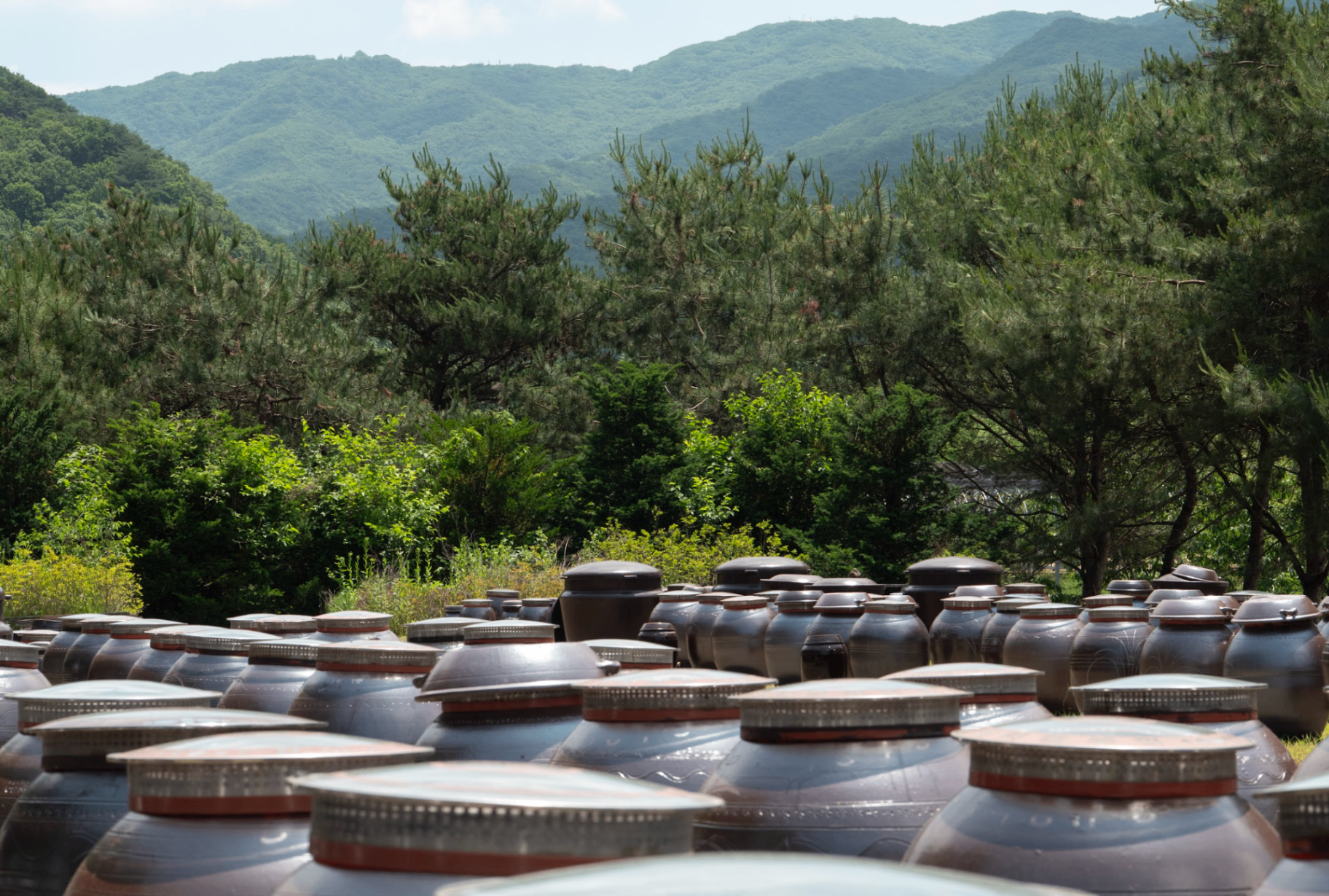 Onggi jars with mountain backdrop — Gyeonggi dates & pricing